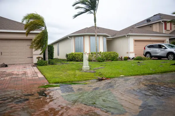 Hurricane Assistance for Parkinson's Patients